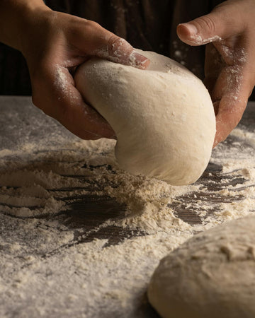 Pizza Recipes